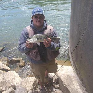 Meet your Posher, Owen